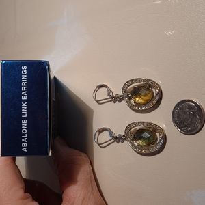 Abalone Link earrings